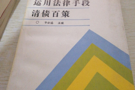 海宁为什么选择专业追讨公司来处理您的债务纠纷？